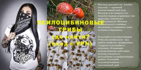 ПСИЛОЦИБИНОВЫЕ ГРИБЫ Аркадак