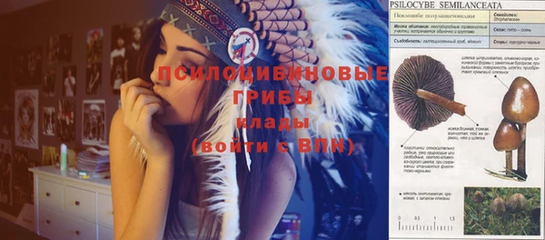 ПСИЛОЦИБИНОВЫЕ ГРИБЫ Аркадак