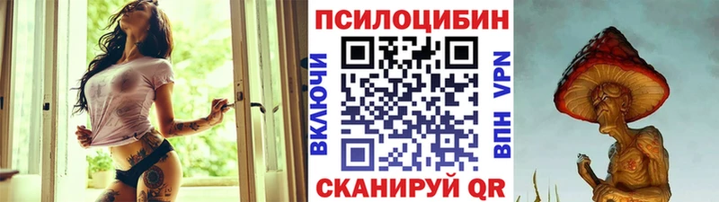 Псилоцибиновые грибы Psilocybine cubensis  где купить   Черняховск 